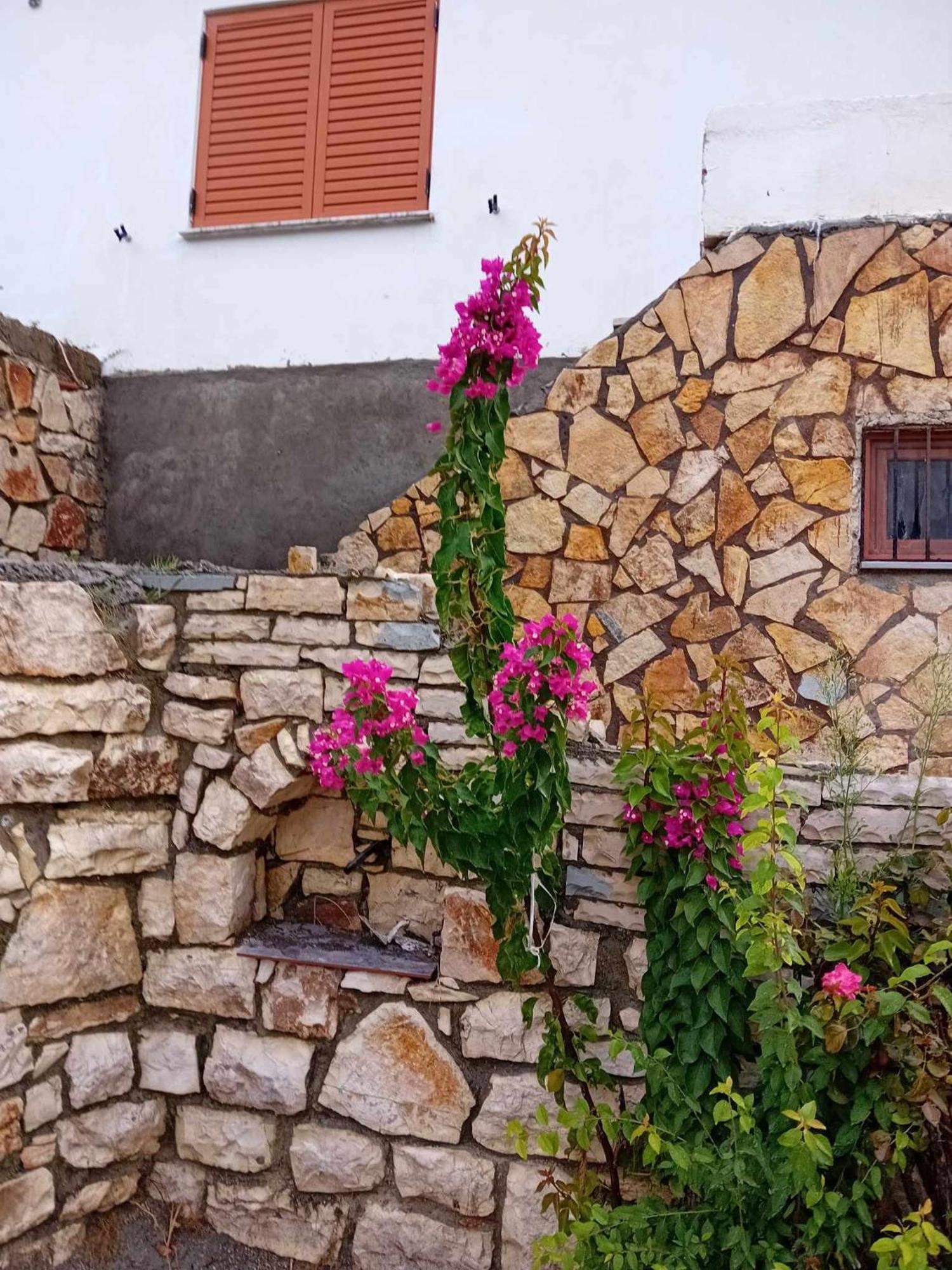 Villa Romario Berat Exteriér fotografie